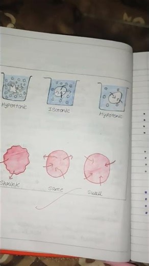 class 9th biology chapter 5 notes #ncert