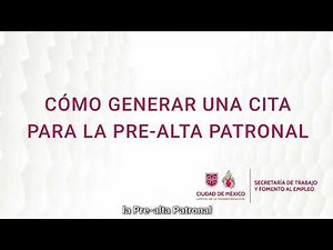 Generación Alta Patronal IMSS