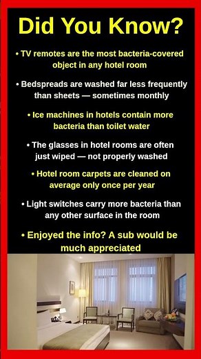The Disgusting Truth About Hotel Rooms Nobody Tells You ⚠️🏨😱