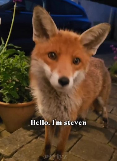 Exploring the AHOF New Global Boy Group Members