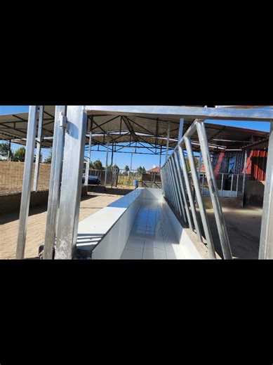 Innovative Dairy Shed Designs for Modern Farming