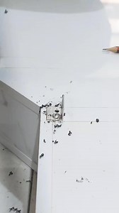 Install rivets #diy #diycrafts #craftsideas #usareels #reelsusa #fypreels #work #worker #fbreelsfyp #viralfbreelsfyp #viral #fbreelsfyp #viralvideo #everyone> #reelsvideo #viralreelsfbpage #reelsviral> #reeels2024 #shortsreels #viralreels > #reelschallenge #reelstrending #reelsviralfb #reelsfacebook #reelsfyp> #worker #reels2024 #trendingvideo #trendingreelsvideo #trendingreel | Work Spirit 23