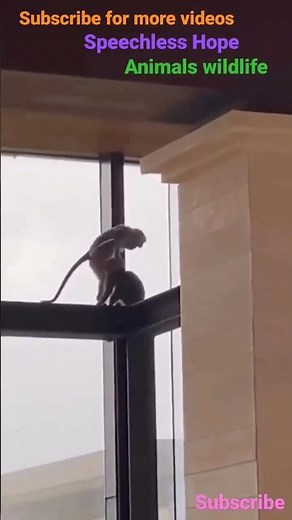 Like Human 😱 #shorts