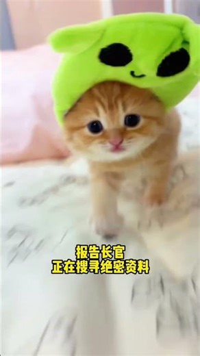 Tiny Alien Kittens 👽 宇宙から来た子猫の侵略 #shorts