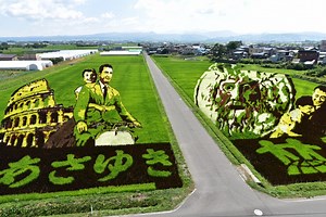 田舎館村展望台（田舎館村第1田んぼアート）｜東北の観光スポットを探す | 旅東北 - 東北の観光・旅行情報サイト