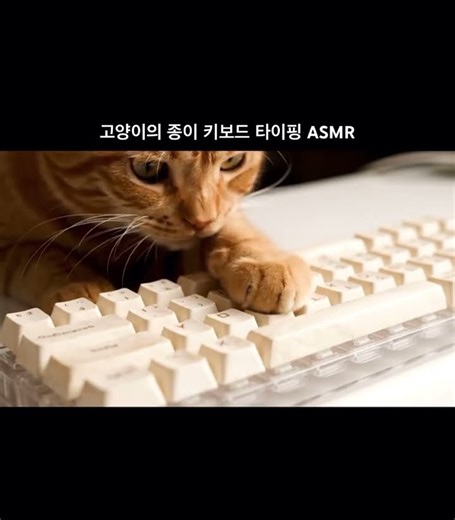 고양이의 종이 키보드 타이핑 📄✍️ | Cat Typing on Paper Keyboard ASMR
