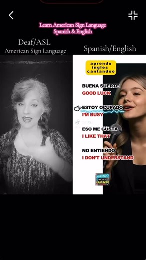 Deaf Warrior (ASLSuzyQ) on Instagram: "Learn ASL, #spanish & English… #asl #americansignlanguage #signlanguage #deafandproud #deaf #hoh #deafcreator #access #chronicillness #survivor #painwarrior #deafcommunity #deafawareness #deafperformer"