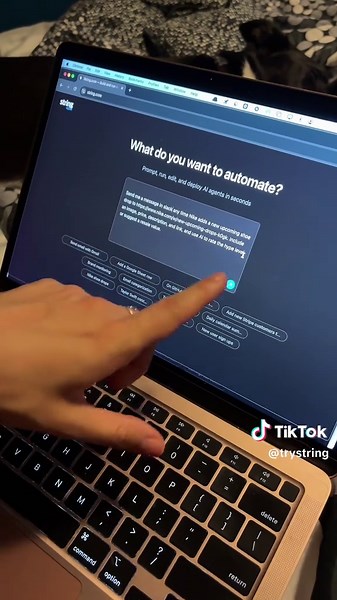 Best Sneaker Gifts for Your Stylish Girlfriend