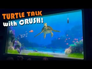 Turtle Talk with Crush at EPCOT (FULL SHOW)