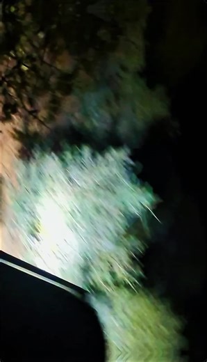 Dalxureeye repost #operations @Commando🇸🇴Armiye #Dugsiga_tababarka_Gan_gorden