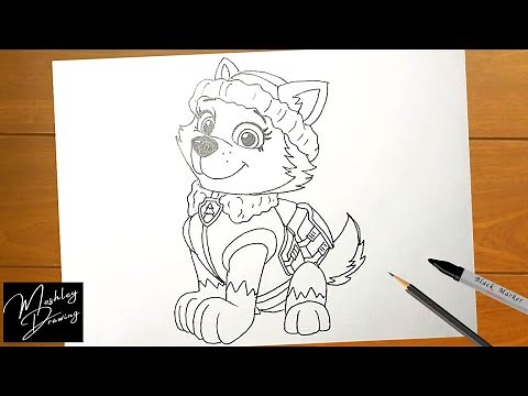 How to Draw EVEREST from Paw Patrol Easy Step by Step