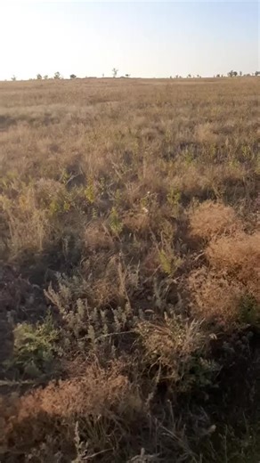 QDA Letish? (@qda_letish_)’s videos with оригинальный звук - QDA Letish?