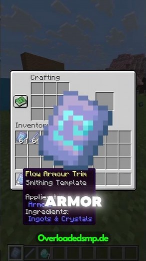Flow Armor Trim dublizieren