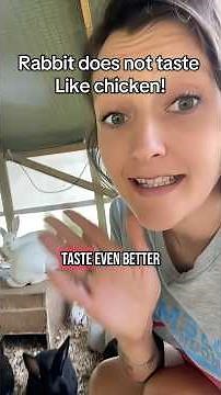 New set up for the meat rabbits