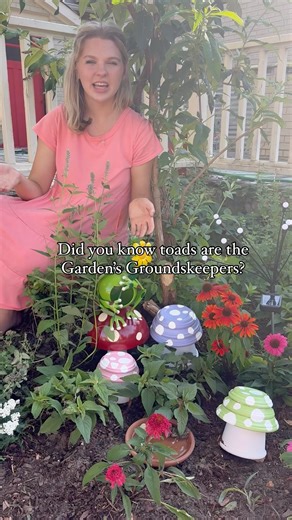Needmore Farms | Gardening, and DIY on Instagram: "Let’s make a Toad Abode! Toads are the garden’s groundskeepers and are super beneficial to have around. Follow these steps to make your yard a haven for toads! They are an all natural approach to pest control Note: just like bee baths, we haven’t seen problems with mosquitos in the water. It’s so hot here in the south that it tends to evaporate daily. Plus, the toads will eat them! Of course there’s always the risk of another animal curling up i