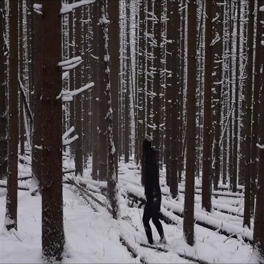 12K views · 103 reactions | #build #camp #camping #outdoor #survivaltips | Birdees | Facebook