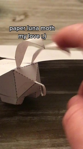 sneepsnorp3d on TikTok