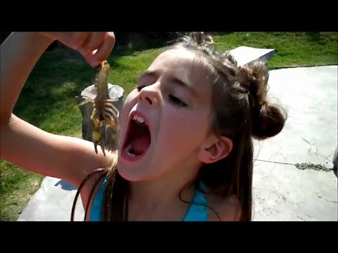 PRINCESSTARD'S BEST MOMENTS [Part 3]