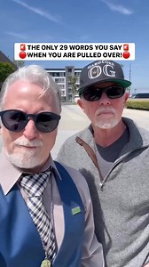 378K views · 9.6K reactions | 29 Words That Could Save You – New...