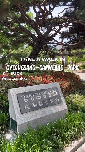 Best Things to Do in Daegu, South Korea