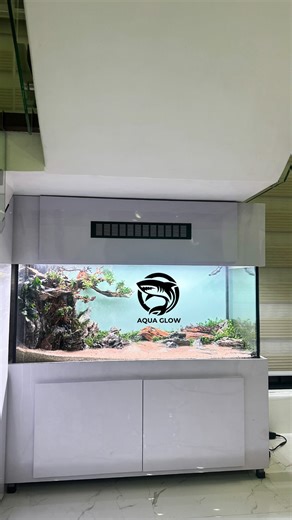 📍LOS BANOS 🚚🚚🚚 🐟 75 Gallons Tank 48x18x20", Cabinet, Filtration System Set and Aquascape 🦈😎 Thank you Sir Mel for ordering! Enjoy and Happy Fish Keeping!🐟🐟🐟 Tested & Trusted by Thousands of Fish Hobbyist🤝🦈😎 #aquaglowmnl #aquaglow #hobbyist #aquarium #aquariumcabinet #monstertank #fishhobbyist #cabinet #trendingreelsvideo #fbreelsfypシ゚ #fbreelsvideo #reelsfypシ #reelsfacebook #hobbyist #reelsviralシfb #home #hobby @topfans | AQUA GLOW
