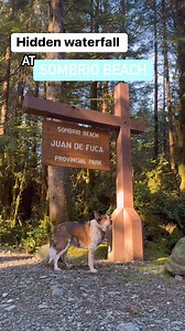 32K views · 605 reactions | NearMe Victoria. Discover the hidden...