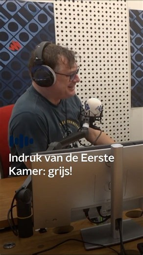 Eerste Kamer is grijs | De Stemming | NPO Radio 1