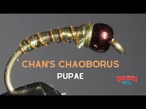 FLY TYING: BRIAN CHAN's Chaoborus Pupae