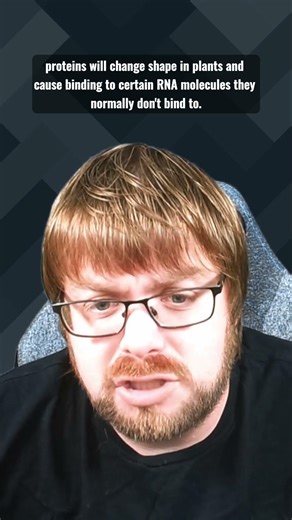 Plant proteins can shape shift?