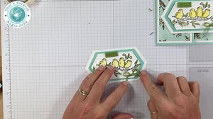 Video Tutorial - Gift Card Holder using the Free as a Bird Stamp Set and Stitched Nested Dies. | Chic' n Scratch
