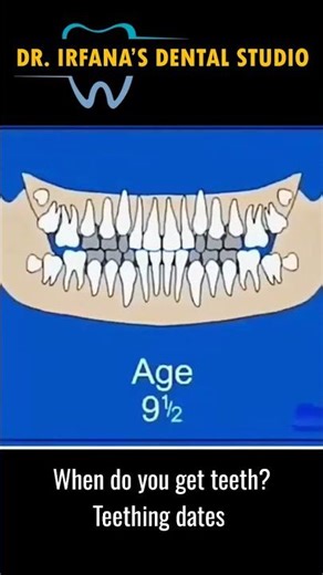 When do you get teeth? Teething dates | Dr.Irfana's Dental Studio | #shorts