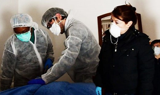 Coronavirus symptoms in cats discussed by vet