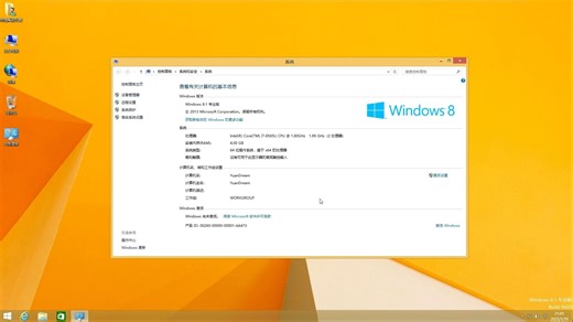 测试Windoes8.1专业版
