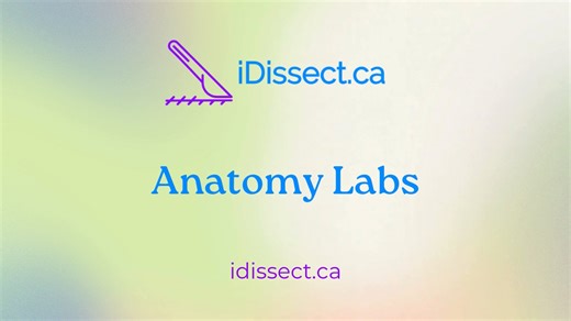 Anatomy Labs - idissect.ca