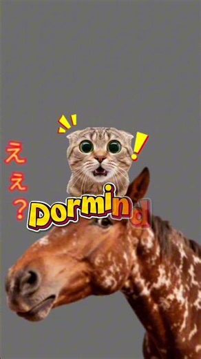 99% DAS PESSOAS VÃO IGNORAR… NÃO SEJA UMA DELAS 😳