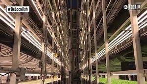 2.9K views · 79 reactions | Take a peek inside our indoor vertical farm with abc7NY! Repost ABC7NY - AeroFarms, a sustainable indoor agriculture company, is on a mission to transform eating habits and provide communities with safe and nutritious food. The innovative company, headquartered in Newark, New Jersey, is transforming agriculture with the world's largest indoor vertical farm. #indoorfarming #verticalfarming #verticalfarm #futureoffood #innovation | AeroFarms | Facebook