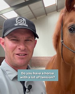 FREE TRT Starter Program! Struggling with a tense, spooky, or difficult horse? 😟 Then maybe my new and FREE TRT Starter Program can help you. You will get access to the exact exercises I've used on thousands of horses to solve these exact problems. They're simple, effective, and you'll see results from day one. Want to get started? Get FREE access here 👇 https://trtmethod.com/start | TRTmethod