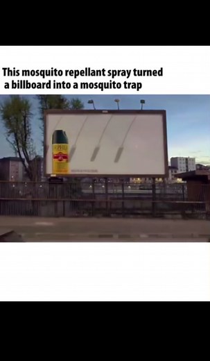 Pallet pair on TikTok