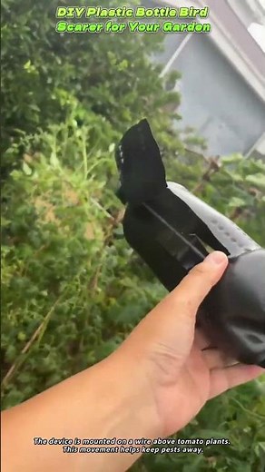 DIY Plastic Bottle Bird Scarer for Your Garden