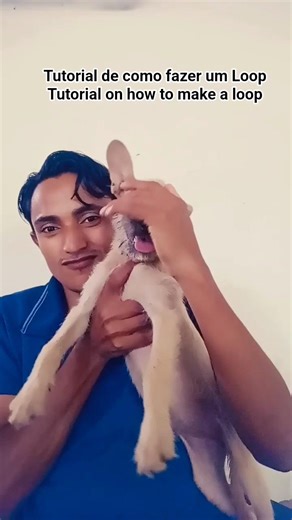 Tutorial de como fazer um Loop #shorts #loop #tutorial