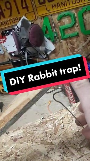 DIY Rabbit Trap: Simple Build, Effective Catch