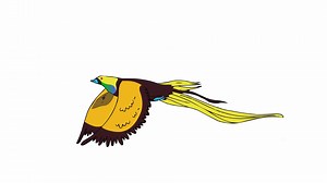Download Flying birds of paradise. Cartoon animated illustration of bird for free