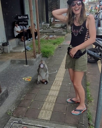 This cheeky monkey didn't even pause when it stole this woman's drink 😂🐒 | LADbible Australia