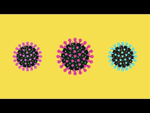What is a Coronavirus? (Variants, Mutations and Anatomy)
