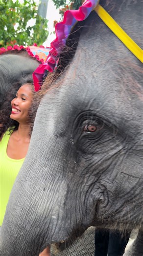 วิดีโอของ 💖ig: manithaiusa 🌴 (@manithai.usa) พร้อมเพลง original sound - 💖ig: manithaiusa 🌴