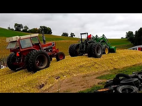 Chopping Corn Silage On A Wisconsin Dairy Farm! Part Two (Harvest Season 2023)