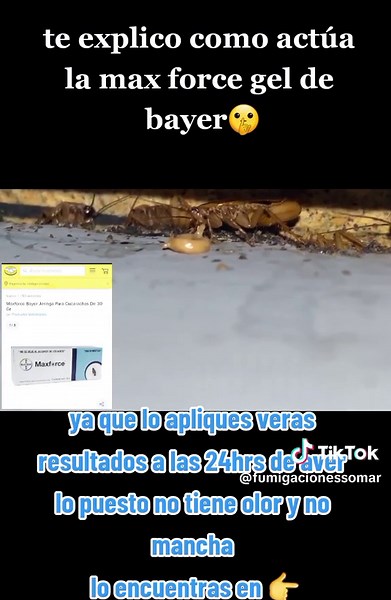 Cómo usar Maxforce gel para eliminar cucarachas eficientemente