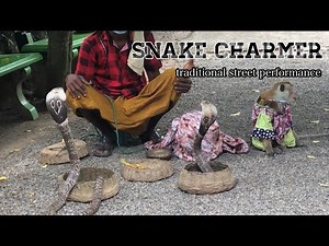 Traditional snake dance in Sri Lanka | Cobra flute music by snake charmer