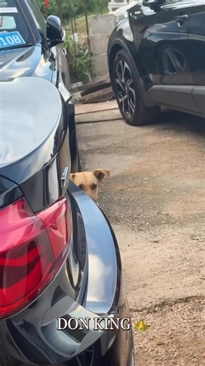 138 reactions · 57 shares | What a man cruel lol | Roots Reggae | Facebook