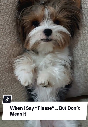 When I Say 'Please' but Don't Mean It